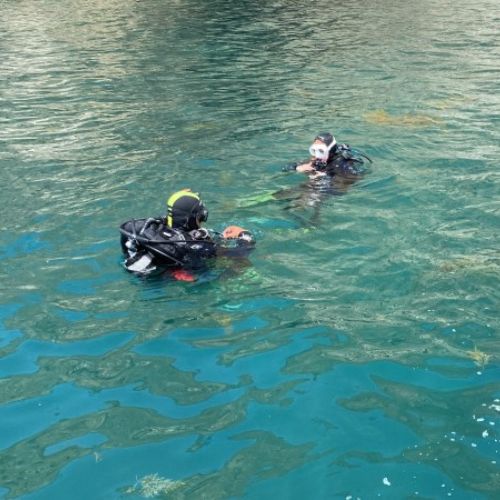 Sao Miguel Discovery Scuba Dive