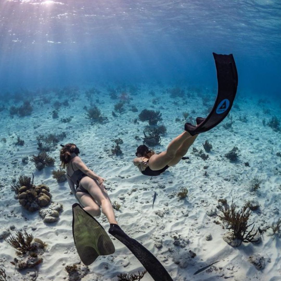 Caribbean Freediving Liveaboard