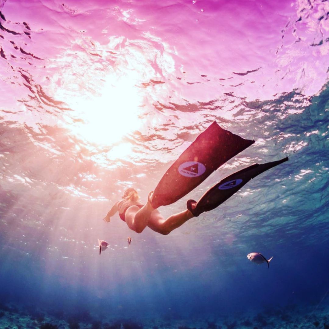 Caribbean Freediving Liveaboard