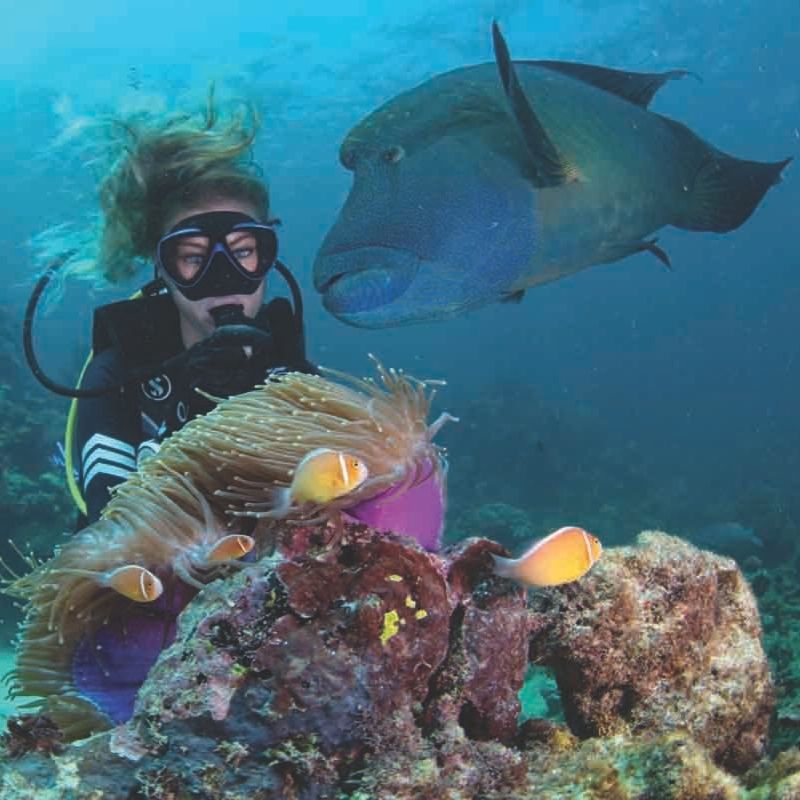 Ras Mohammed & White Island Scuba Diving Trip