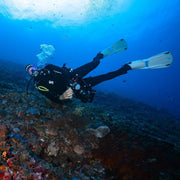 SSI Open Water Diver Course in Nusa Penida