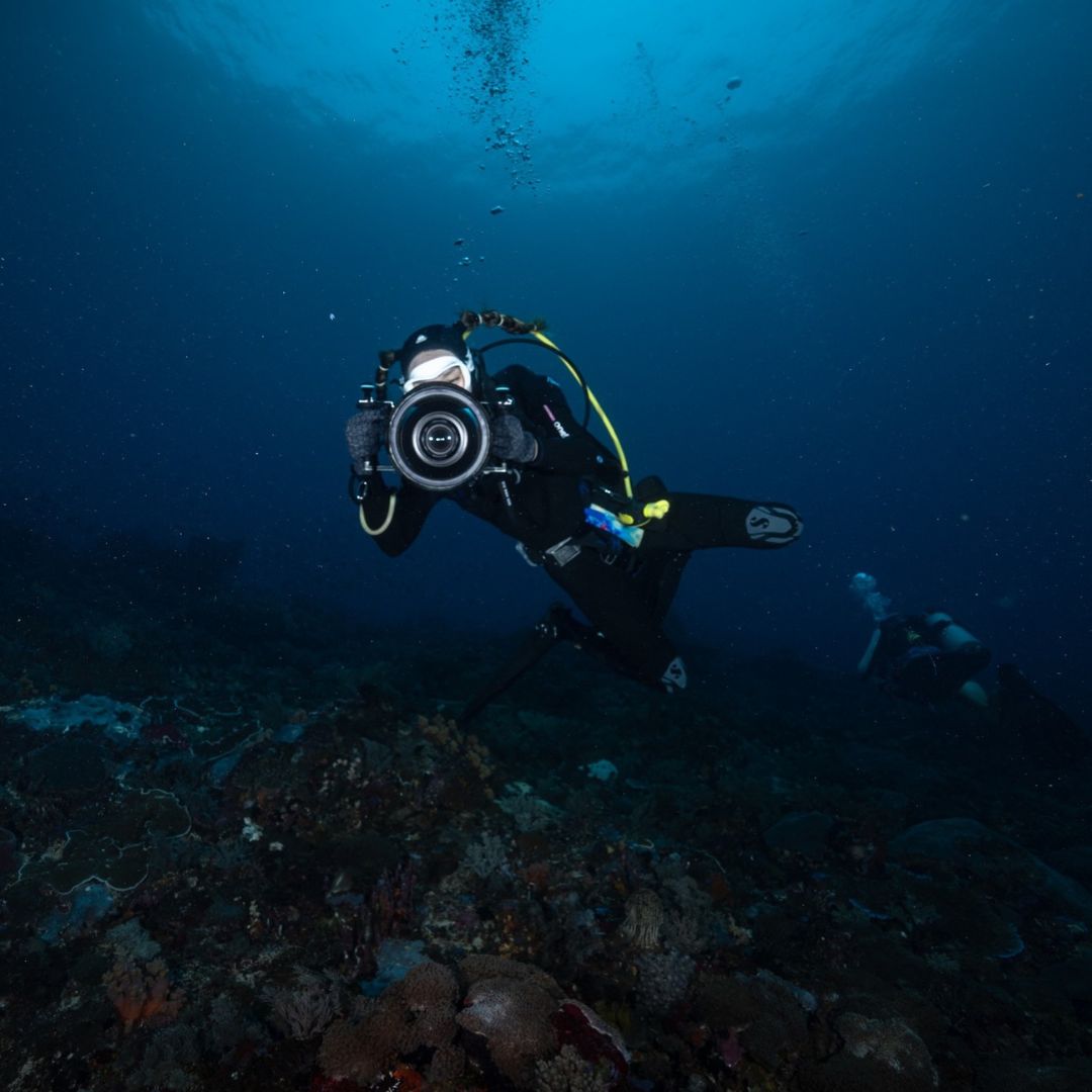Manta Ray Fun Dive in Nusa Penida