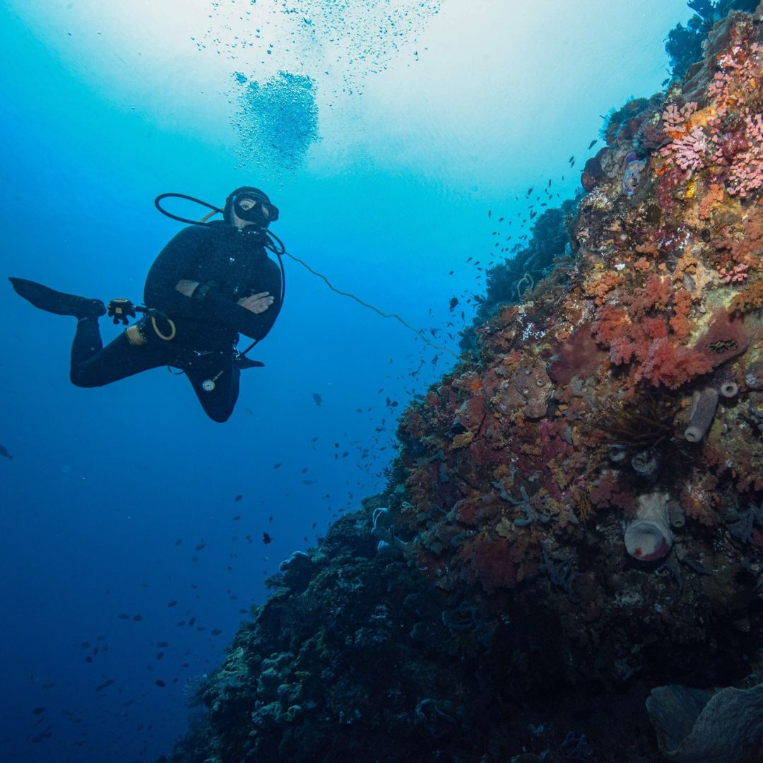 Manta Ray Fun Dive in Nusa Penida