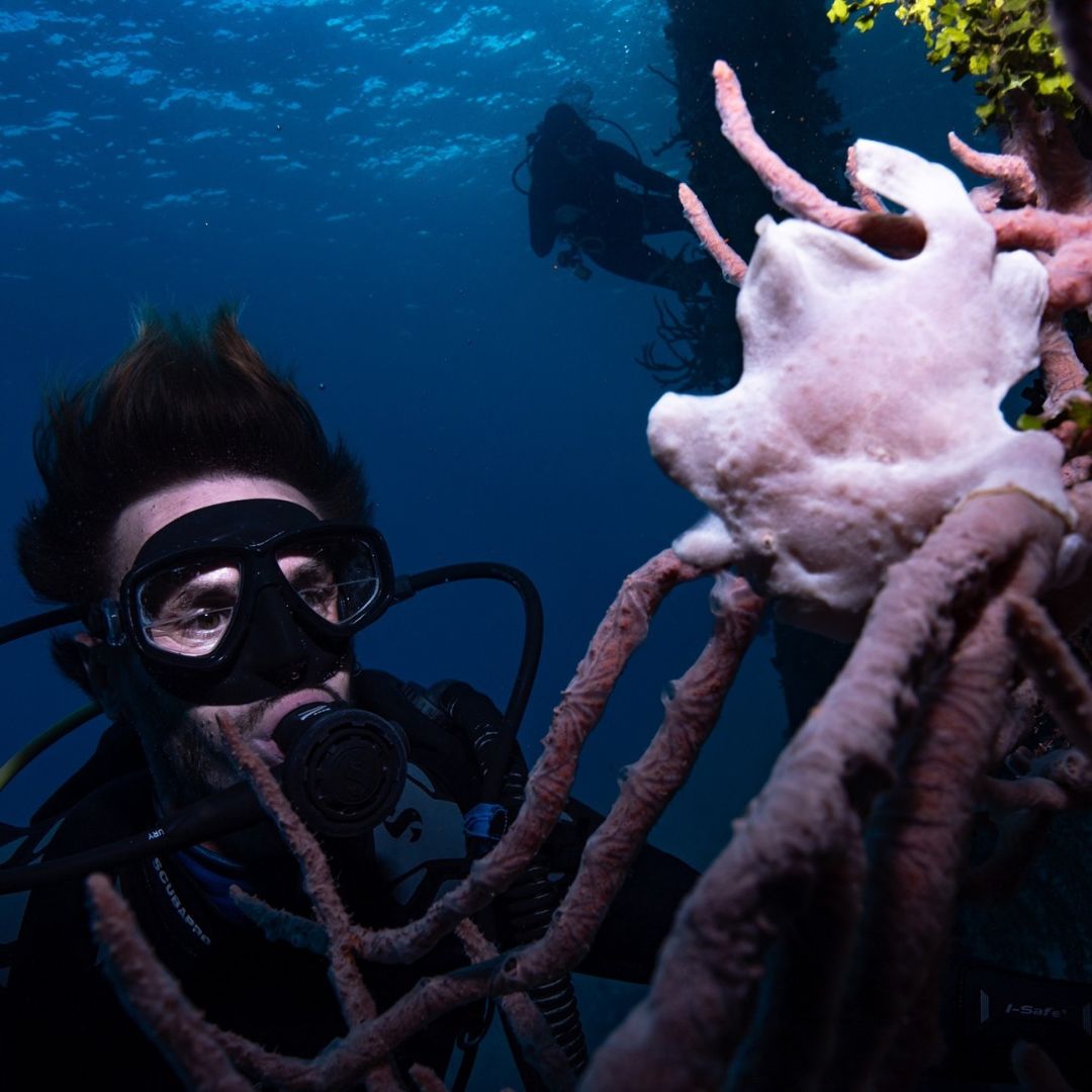 Try Basic Scuba Diving Program in Nusa Penida
