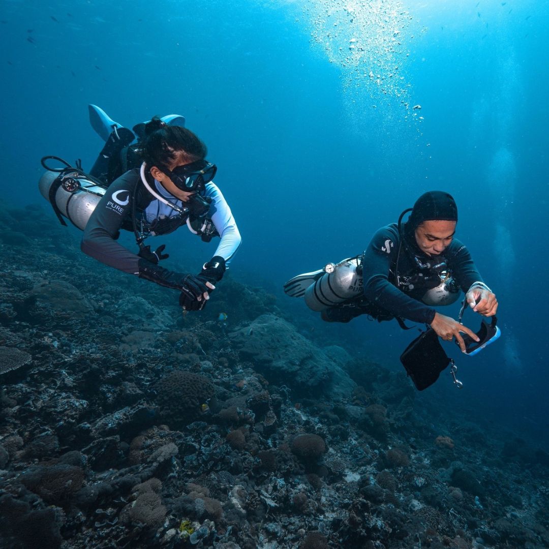 Manta Ray Fun Dive in Nusa Penida
