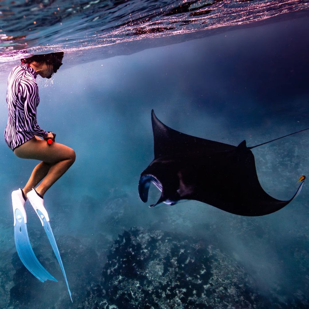 Nusa Penida Freediving Fun Dive