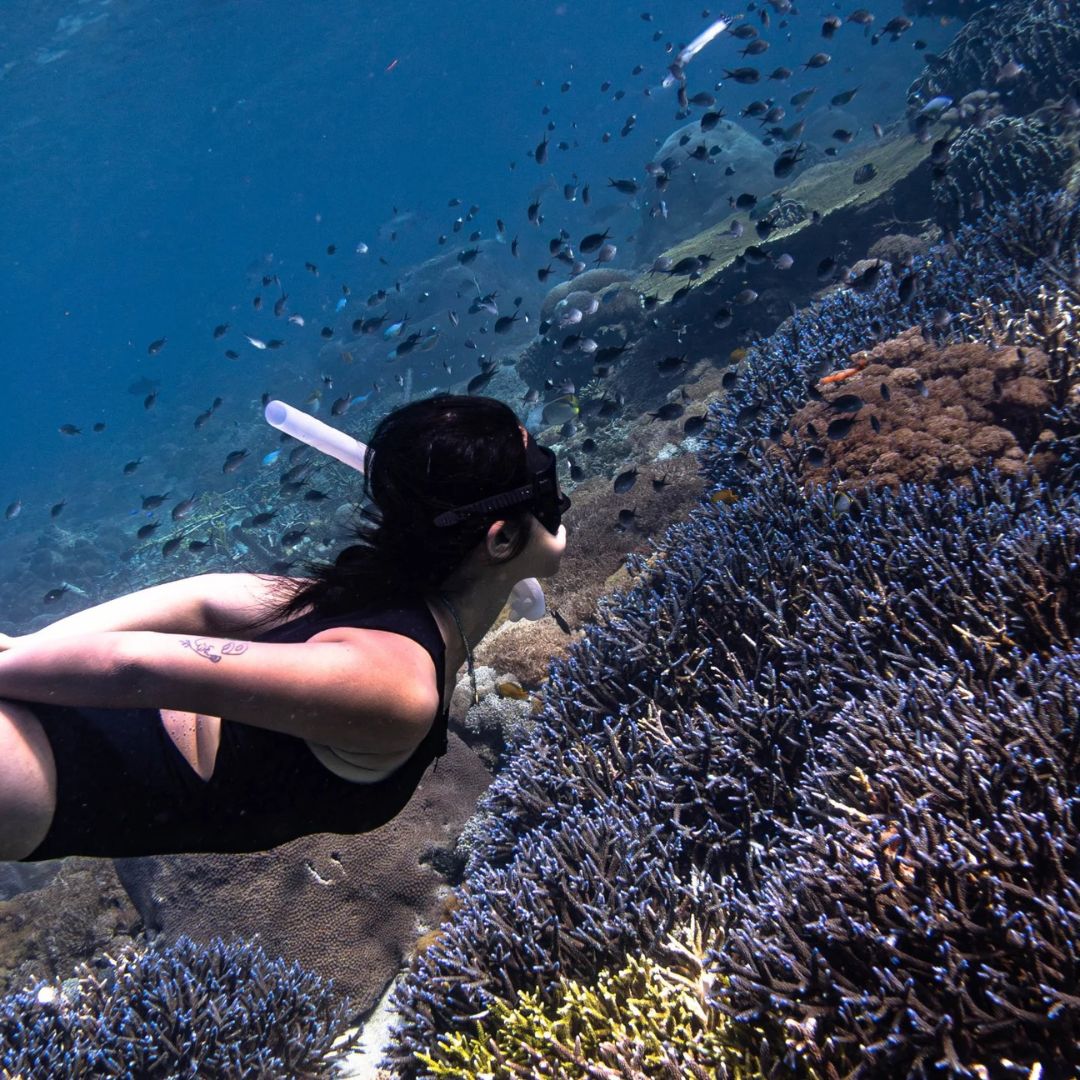 Nusa Penida Freediving Fun Dive