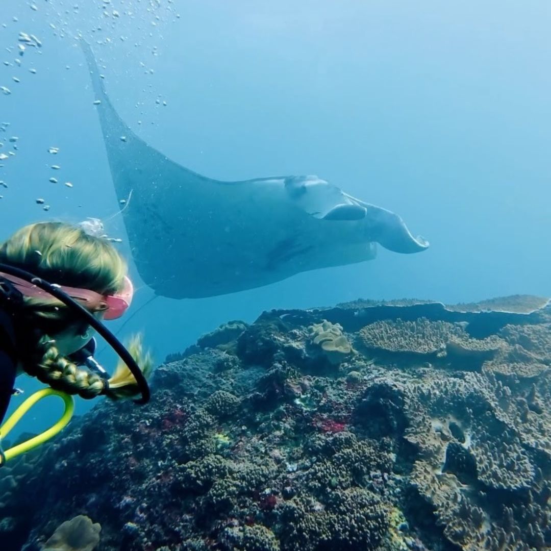Manta Ray Fun Dive in Nusa Penida