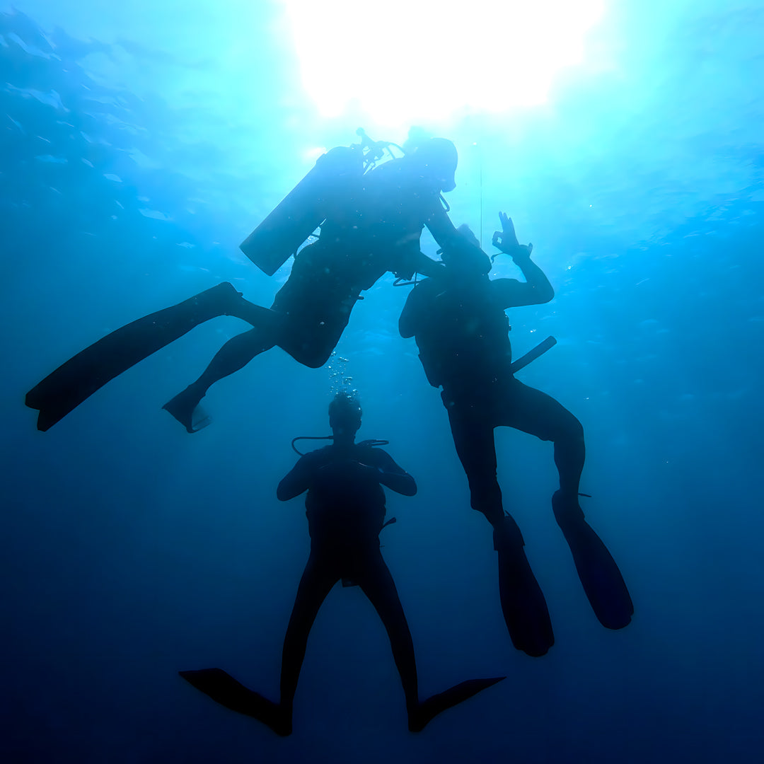 Komodo’s Ultimate Scuba Dive Liveaboard Quest