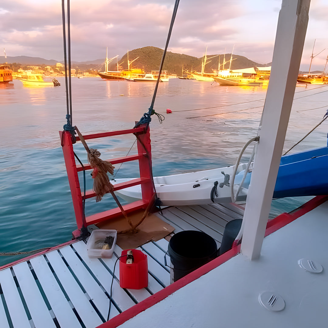 Komodo’s Ultimate Scuba Dive Liveaboard Quest