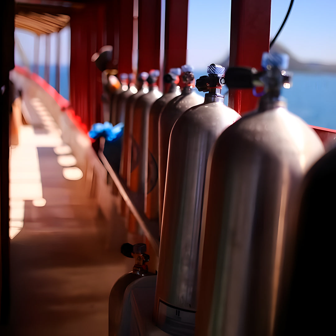 Komodo’s Ultimate Scuba Dive Liveaboard Quest