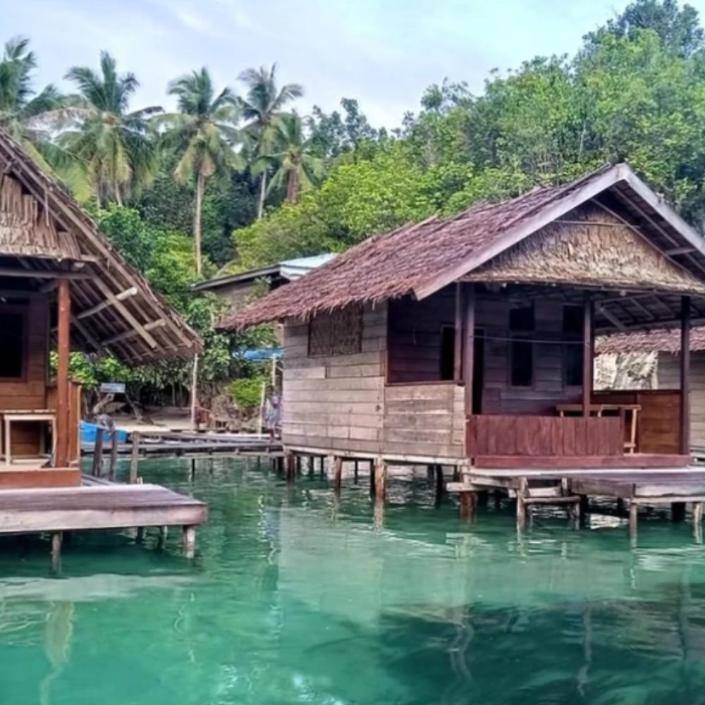 Raja Ampat Freediving Retreat
