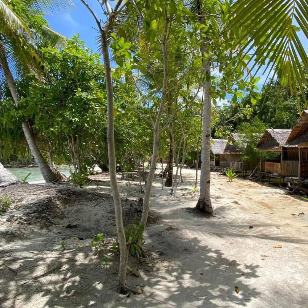 Raja Ampat Freediving Retreat