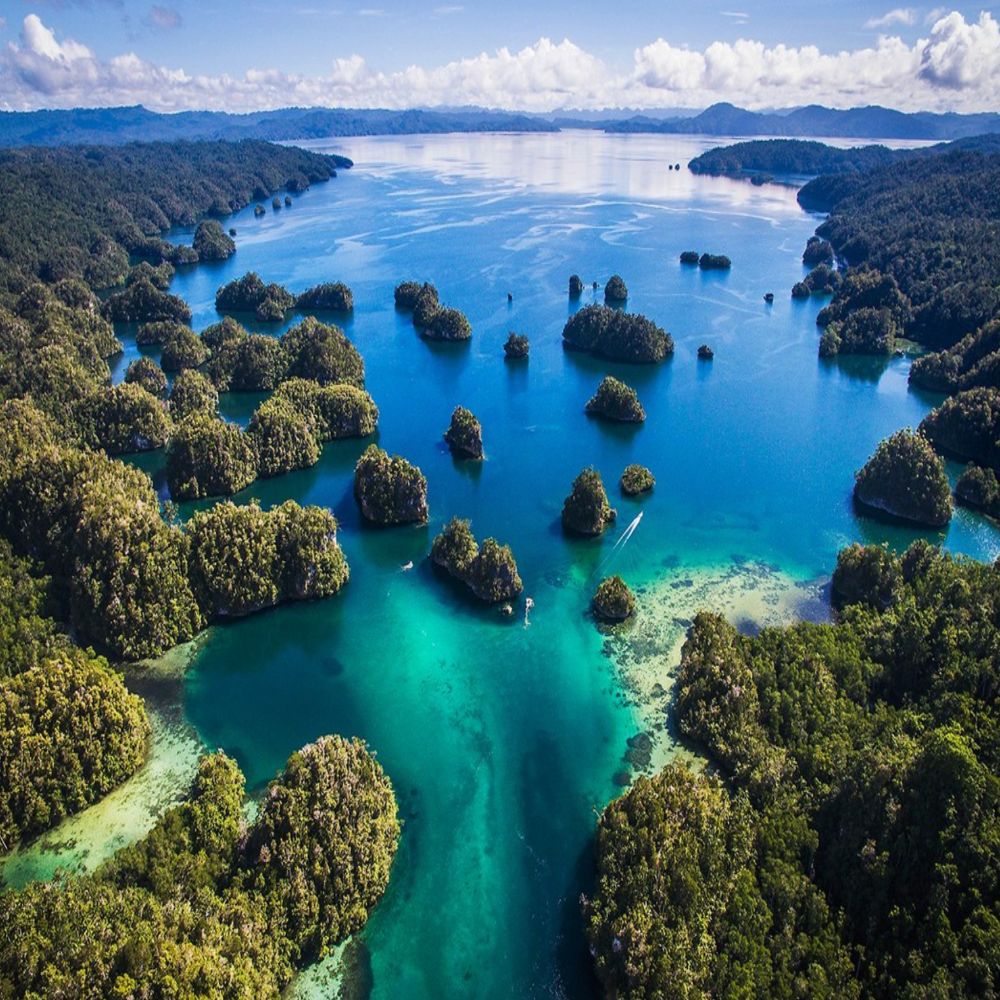 Raja Ampat Freediving Retreat