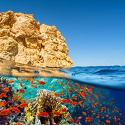 Gate of Allah Diving & Snorkeling Day Trip