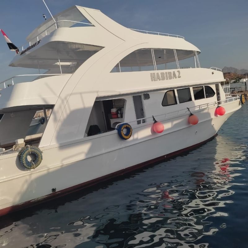 Ras Mohammed & White Island Scuba Diving Trip