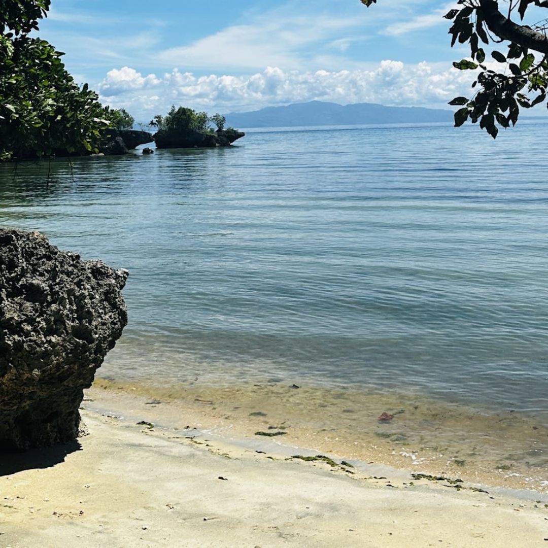 Camotes Island Fun Dive
