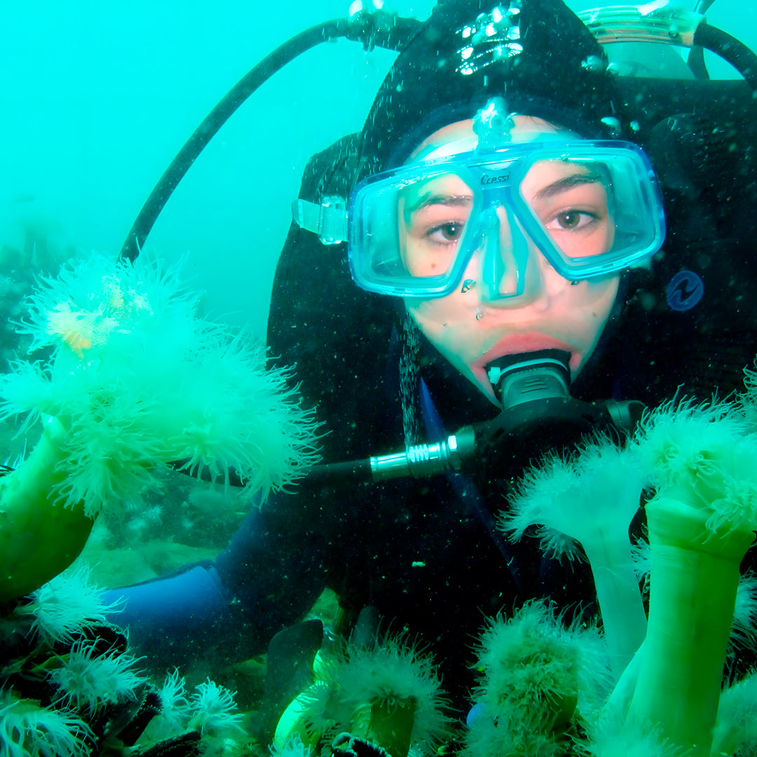 Greece Scuba Diving Fun Dive