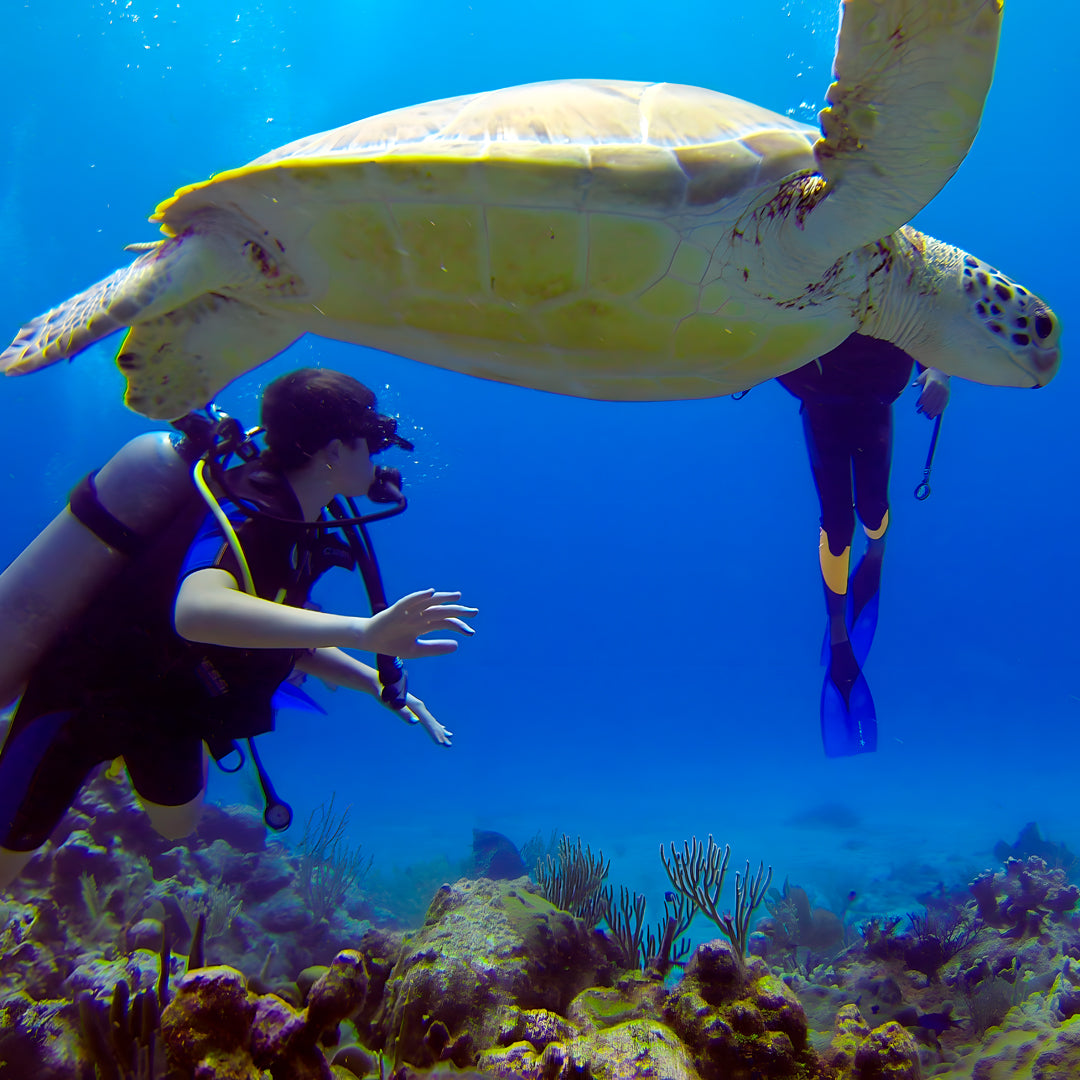 Greece Scuba Diving Fun Dive