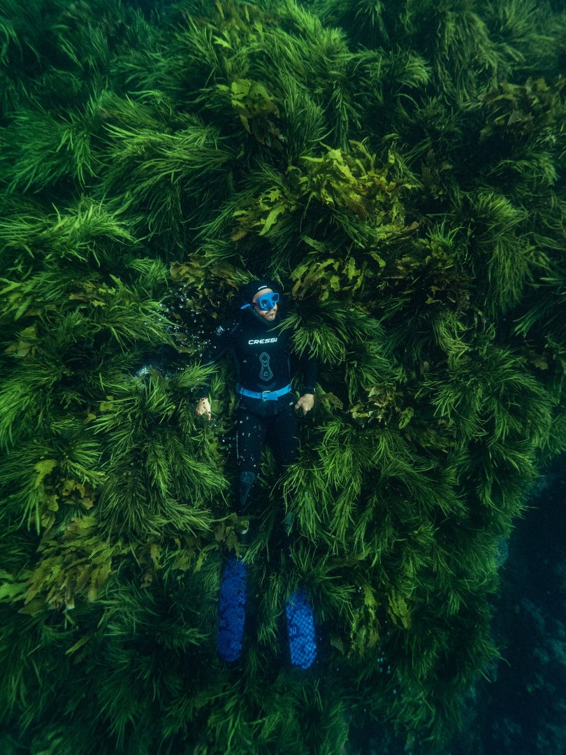 Narooma Seal Diving Trip