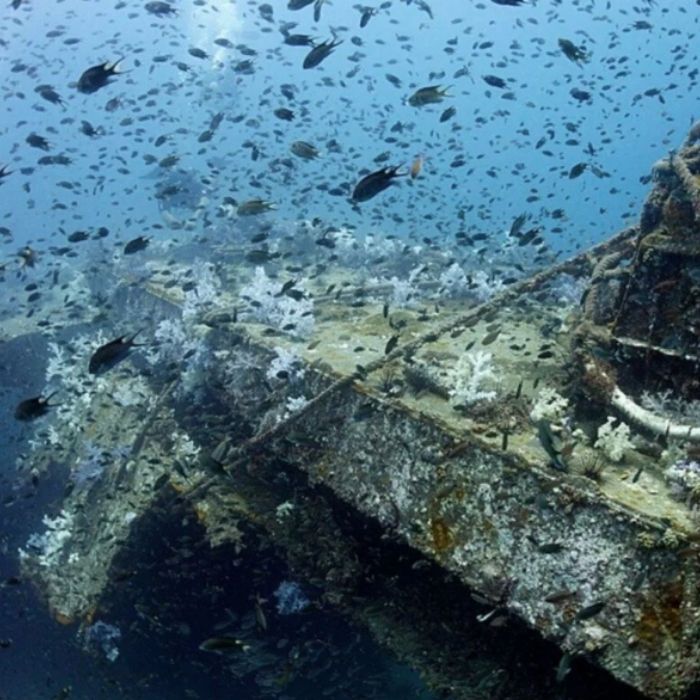 King Cruiser Wreck Scuba Diving in Phuket SSS Phuket & Dive Surf Center