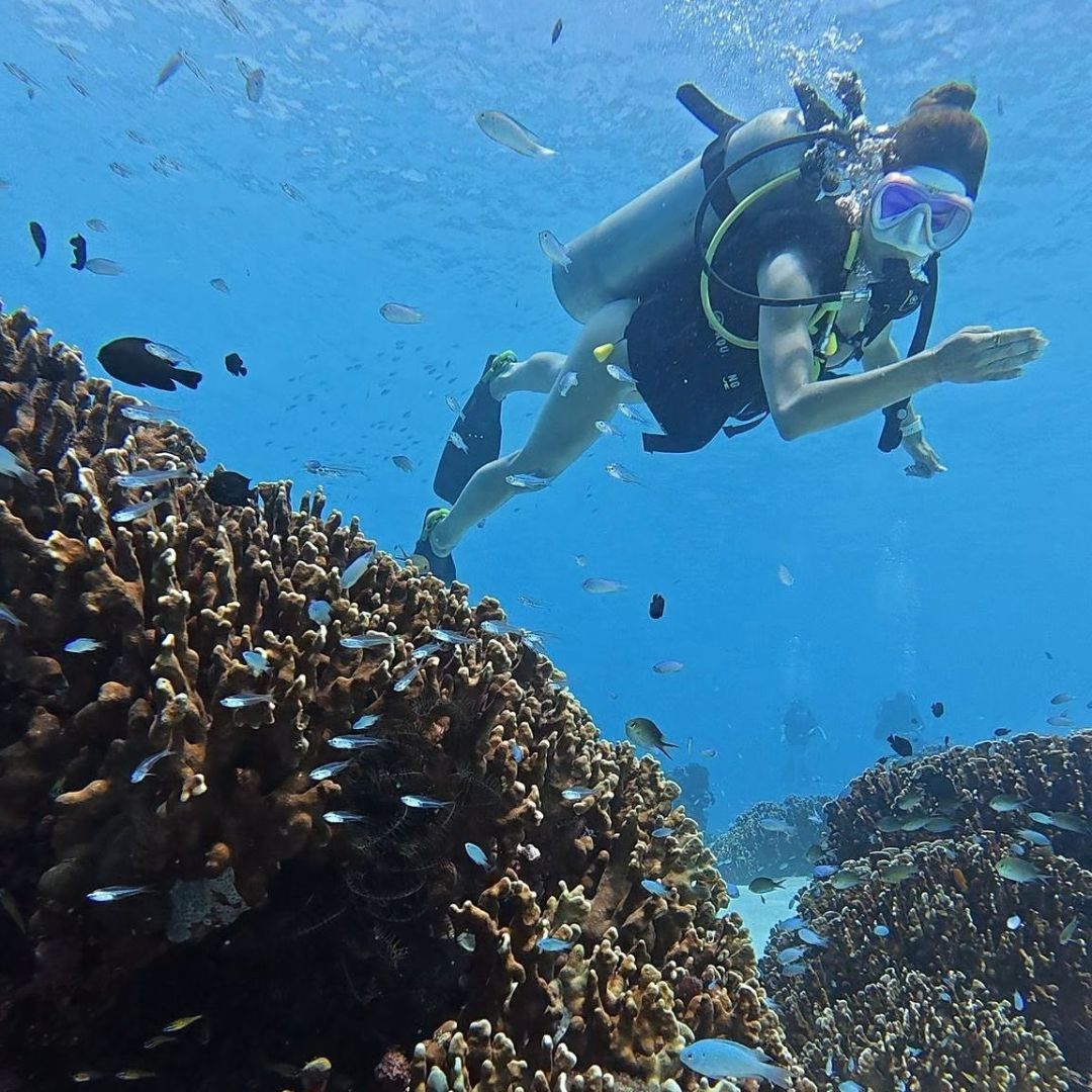 Open Water Scuba Diving Course in Phuket