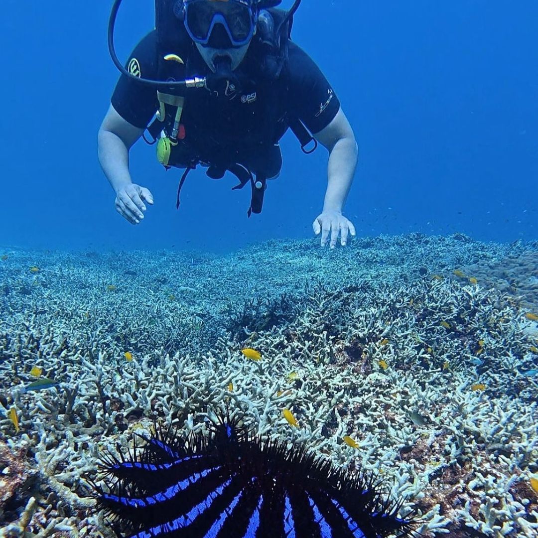 Open Water Scuba Diving Course in Phuket