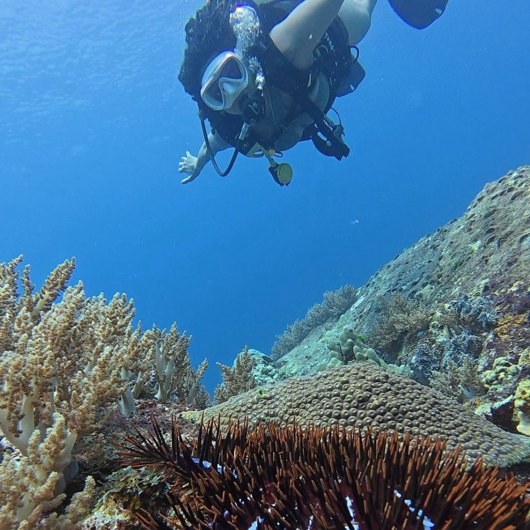 Phi Phi Island Spectacular Fun Dive