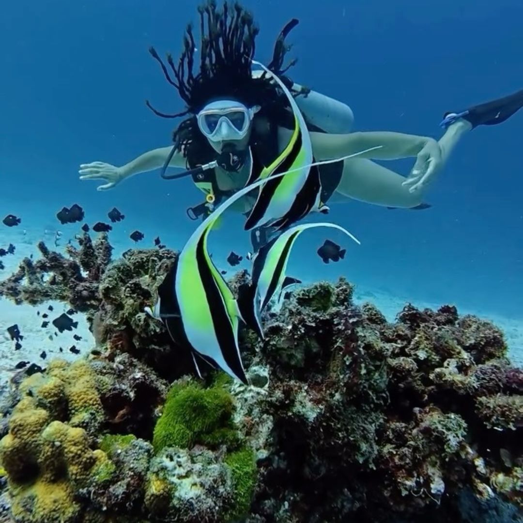 Phi Phi Island Spectacular Fun Dive