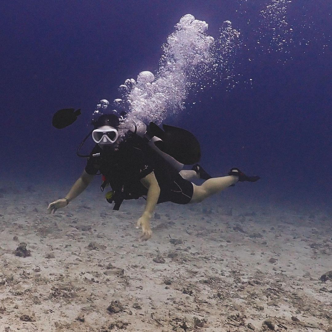 Phi Phi Island Spectacular Fun Dive