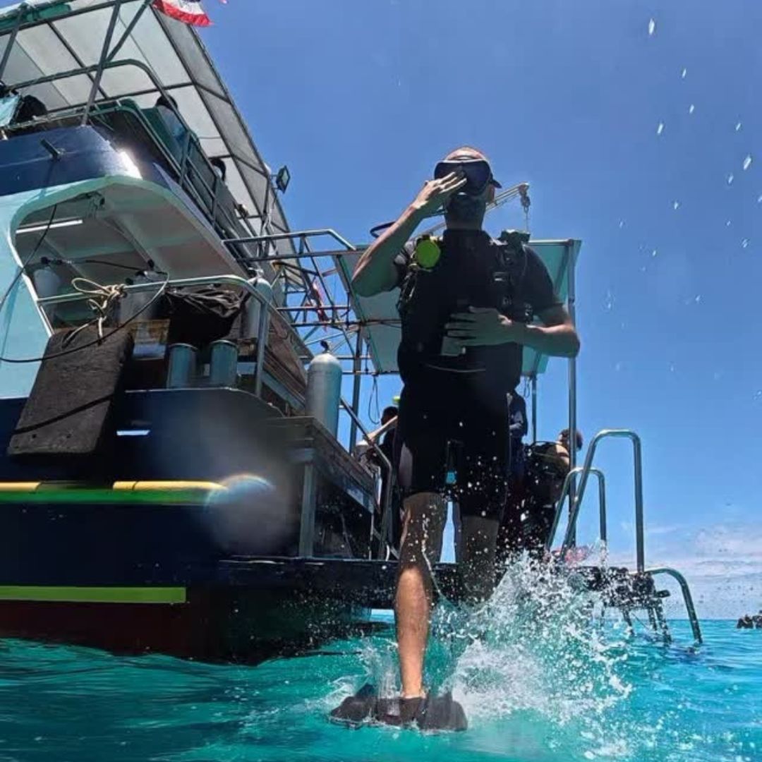 Phi Phi Island Spectacular Fun Dive