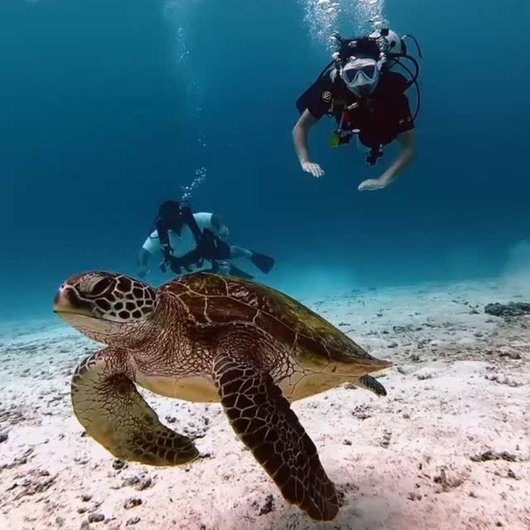 Open Water Scuba Diving Course in Phuket