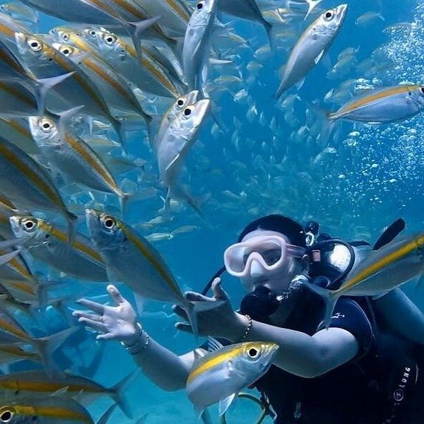 Racha Yai Discover Scuba Diving Course