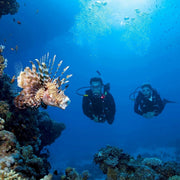 Advanced Open Water Scuba Diving Course in Phuket