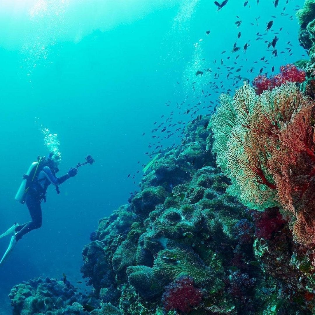 Advanced Open Water Scuba Diving Course in Phuket