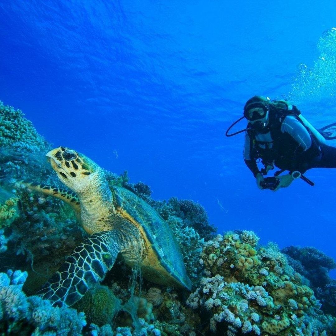 Advanced Open Water Scuba Diving Course in Phuket