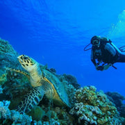 Racha Yai Island Scuba Diving Fun Dive