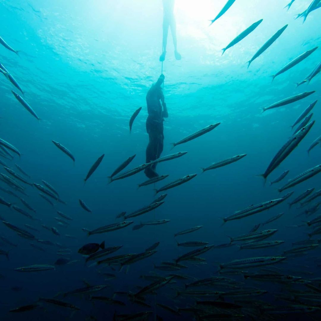 AIDA 2 Phuket Freediving Course