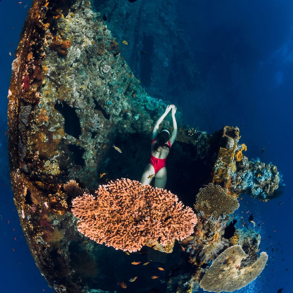 Bali Freediving Trip