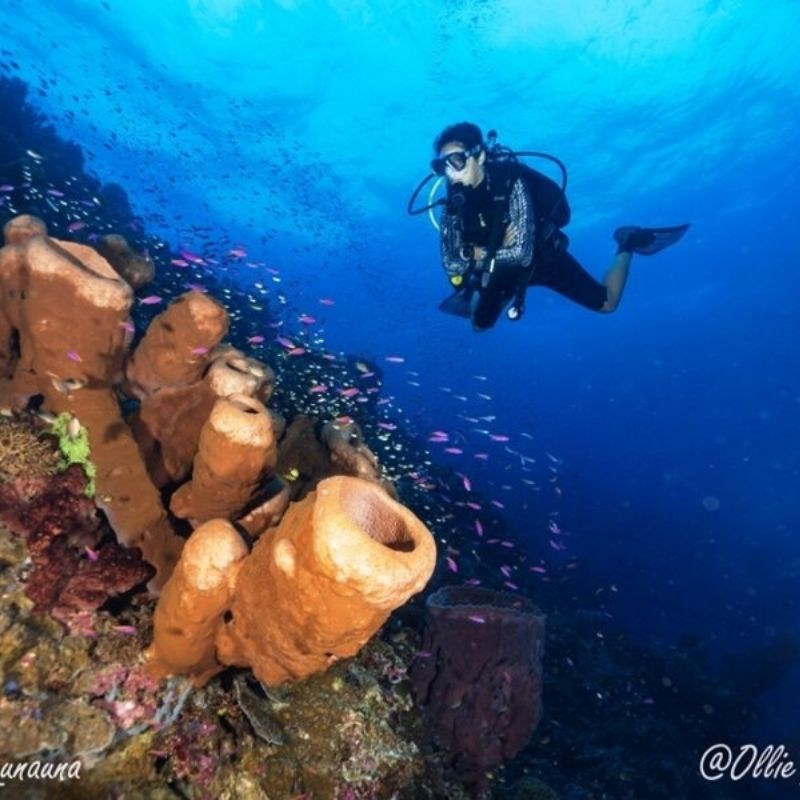 Intro to Scuba Diving Program in Bali