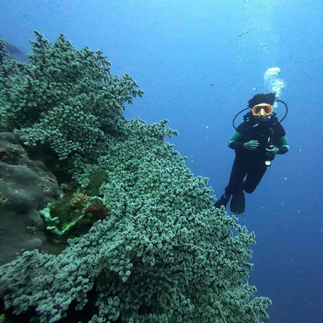Drift Diving Specialty Course in Nusa Penida