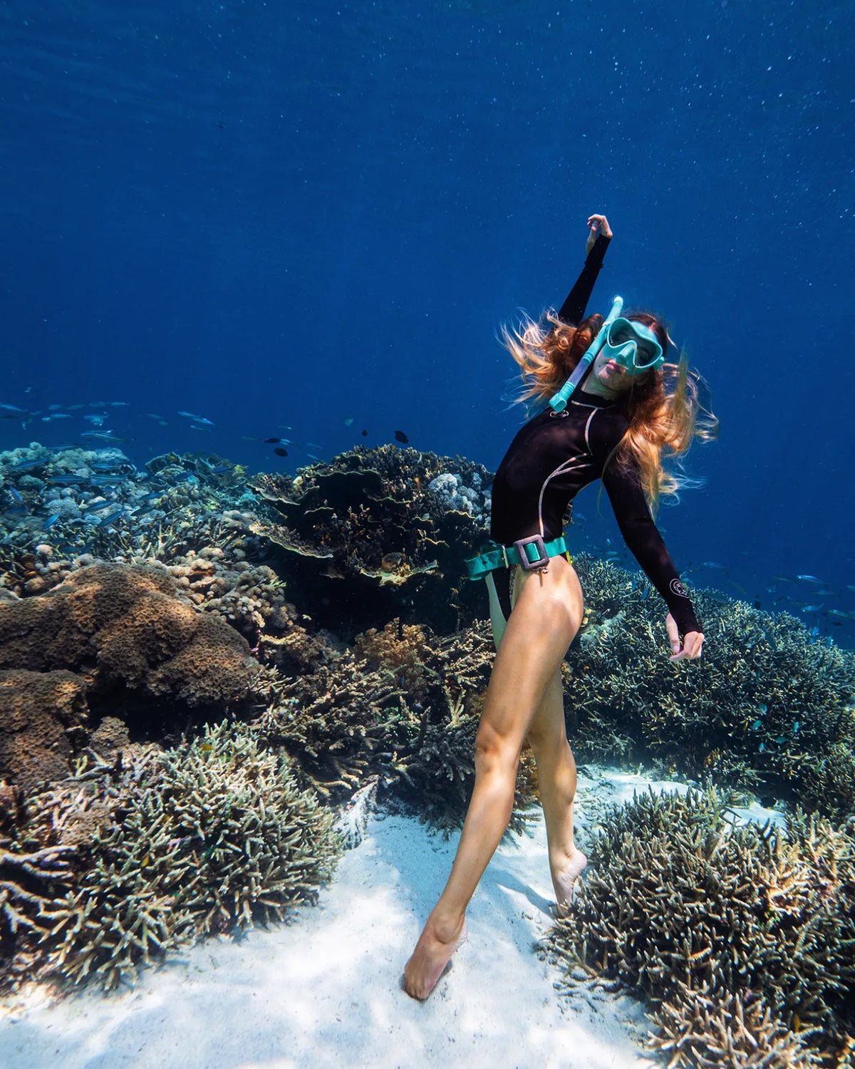 Komodo Island Liveaboard Eunoia Freediving