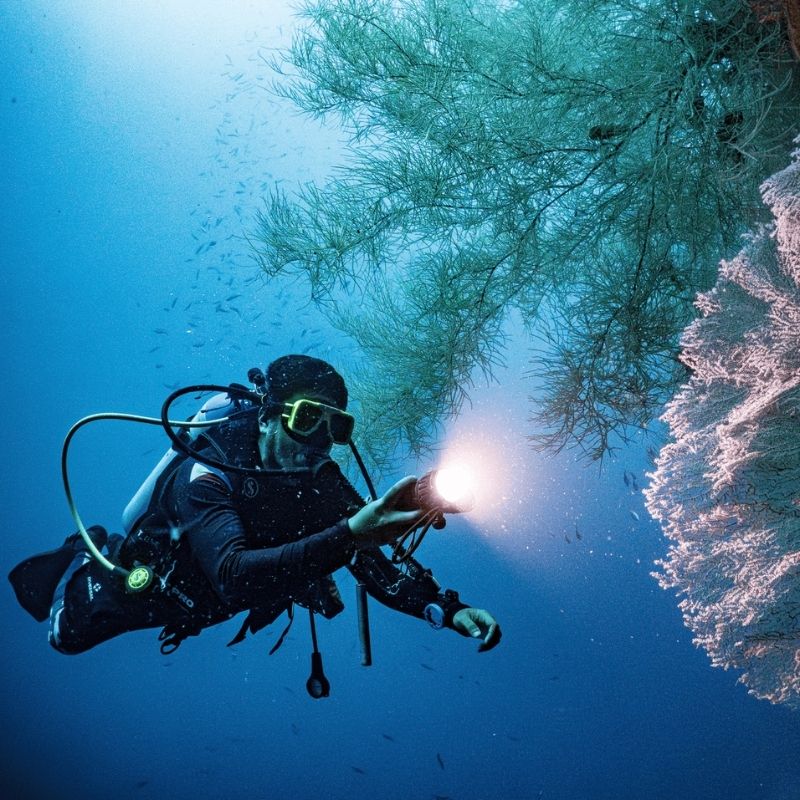Moalboal Sardine Fun Boat Dive