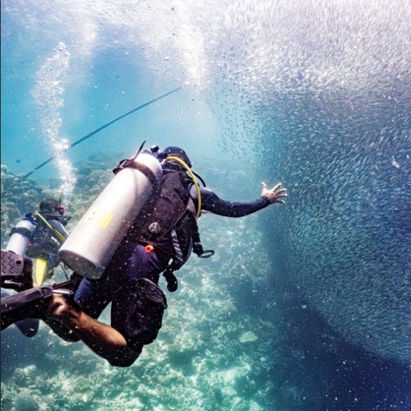Sardine Run Shore Scuba Dive in Moalboal