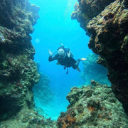 Moalboal PADI Advanced Open Water Course