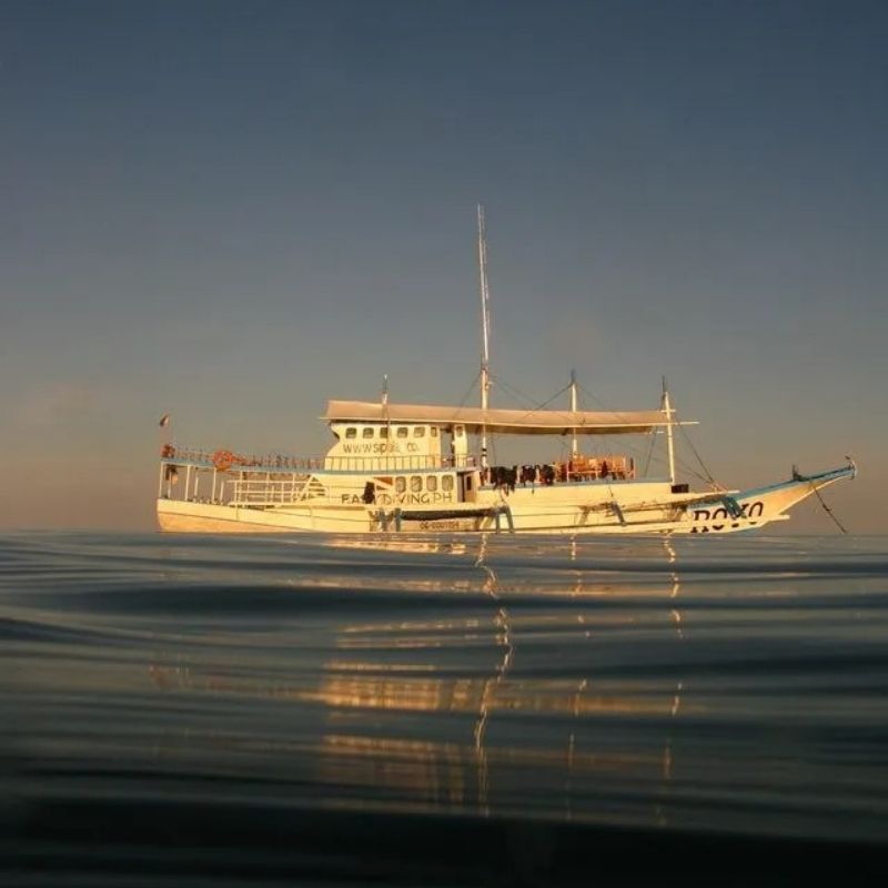 Moalboal to Sipalay Scuba Diving Safari Savedra Dive Center