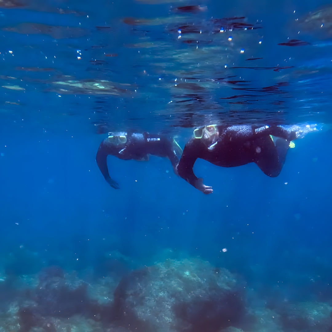 Marine Park Guided Snorkeling Experience