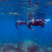 Marine Park Guided Snorkeling Experience