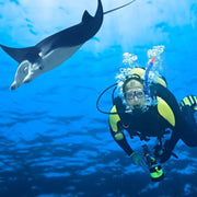 Tiger Sharks & Pelagic Encounter Scuba Diving Trip