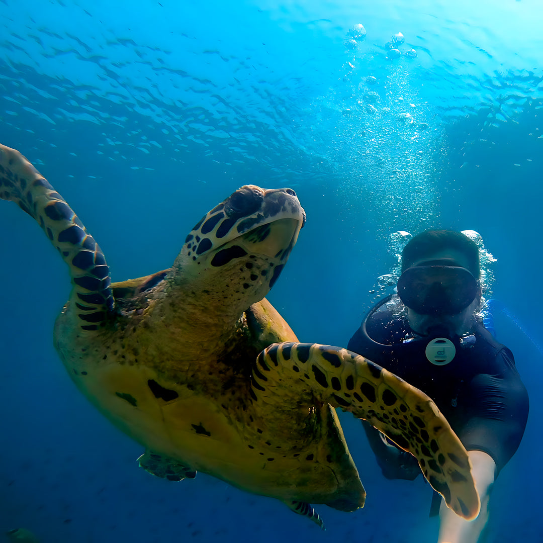 AirBuddy Discovery Dive